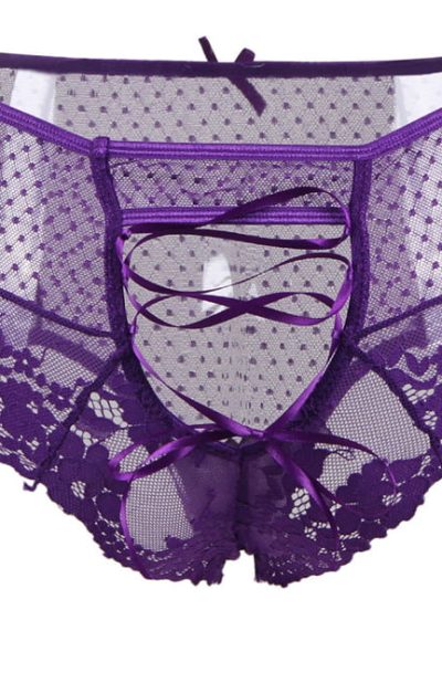 Accueil 13 culotte dentelle plumetis à lacet du 36 au 48 dieppe rose violet bleu blanc noir