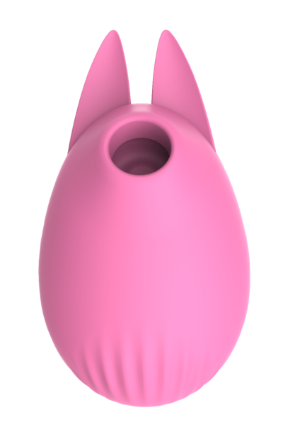 Accueil 18 Stimulateur clitoridien Bunny USB rose Martie Couleur : Rose