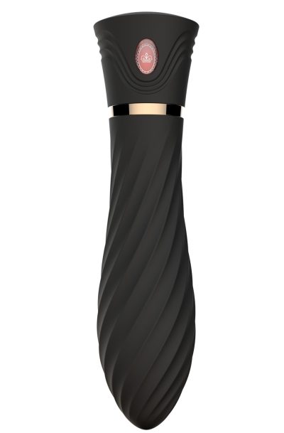 Accueil 18 Mini Vibromasseur noir USB Couleur : Noir