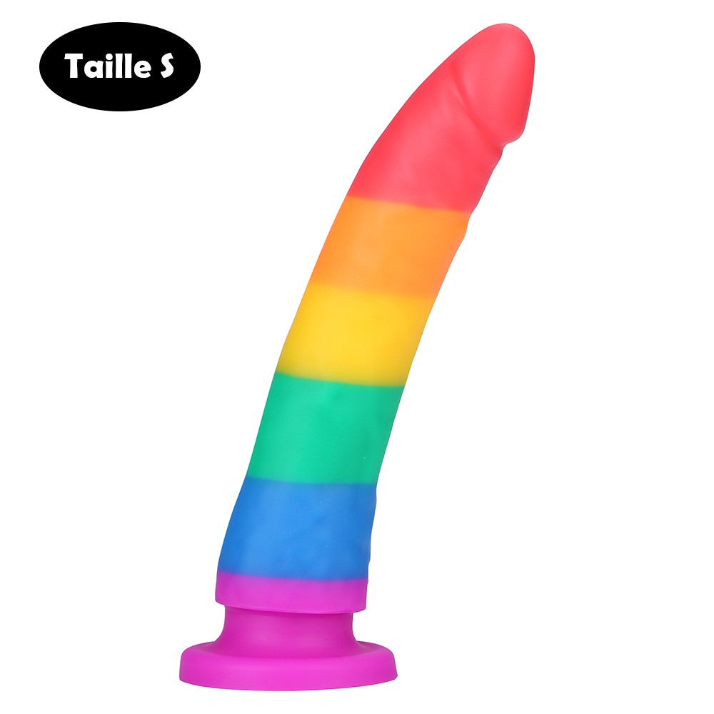Gode ventouse multicouleur taille S Couleur : Multicouleur 1 Gode ventouse multicouleur taille S Couleur : Multicouleur