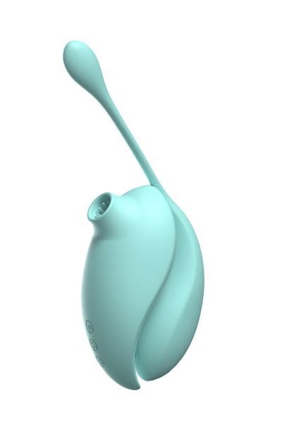 2en1 Stimulateur clitoridien à picots par aspiration avec son œuf vibrant à distance turquoise Couleur : Turquoise