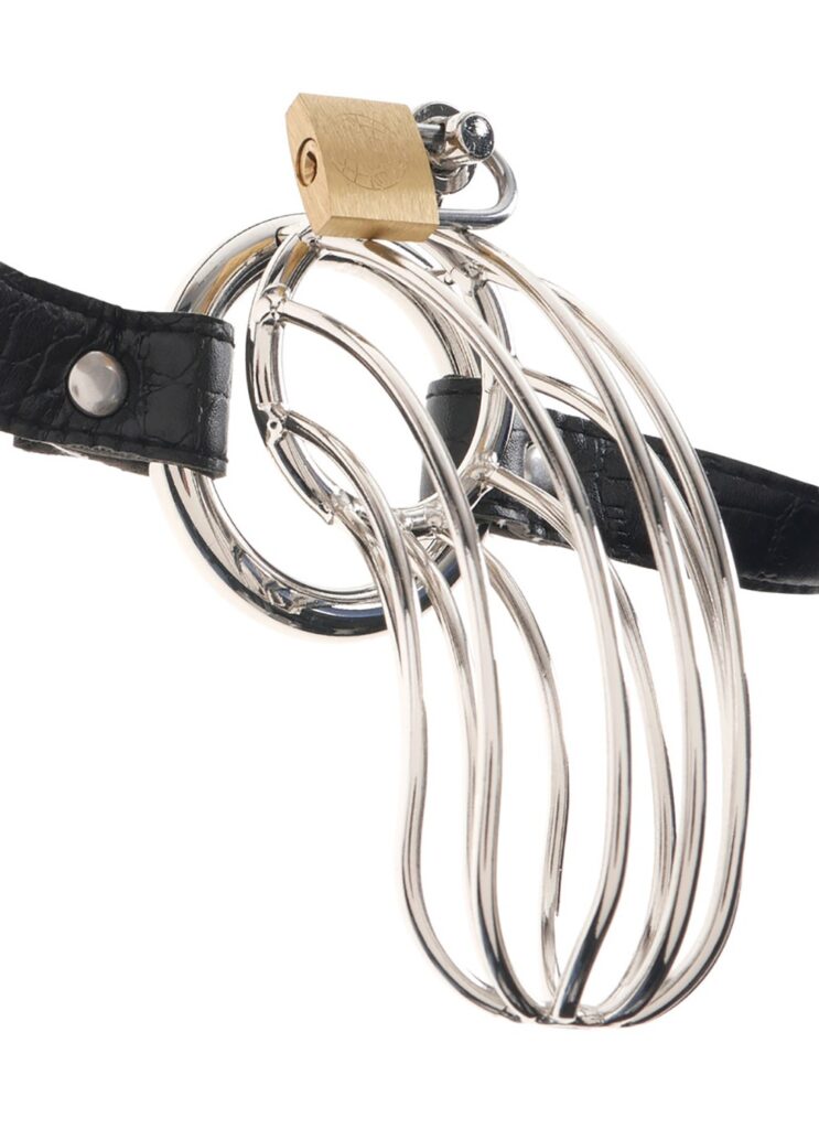 Accueil 14 Cage de chasteté pour pénis The Prisoner Taille : TU