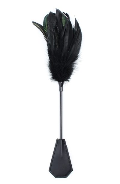 Accueil 19 Cravache noire - 48 cm Couleur : Noir