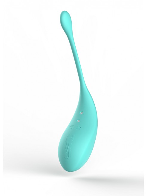 2en1 Stimulateur clitoridien à picots par aspiration avec son œuf vibrant à distance turquoise Couleur : Turquoise 4 2en1 Stimulateur clitoridien à picots par aspiration avec son œuf vibrant à distance turquoise Couleur : Turquoise – Image 4